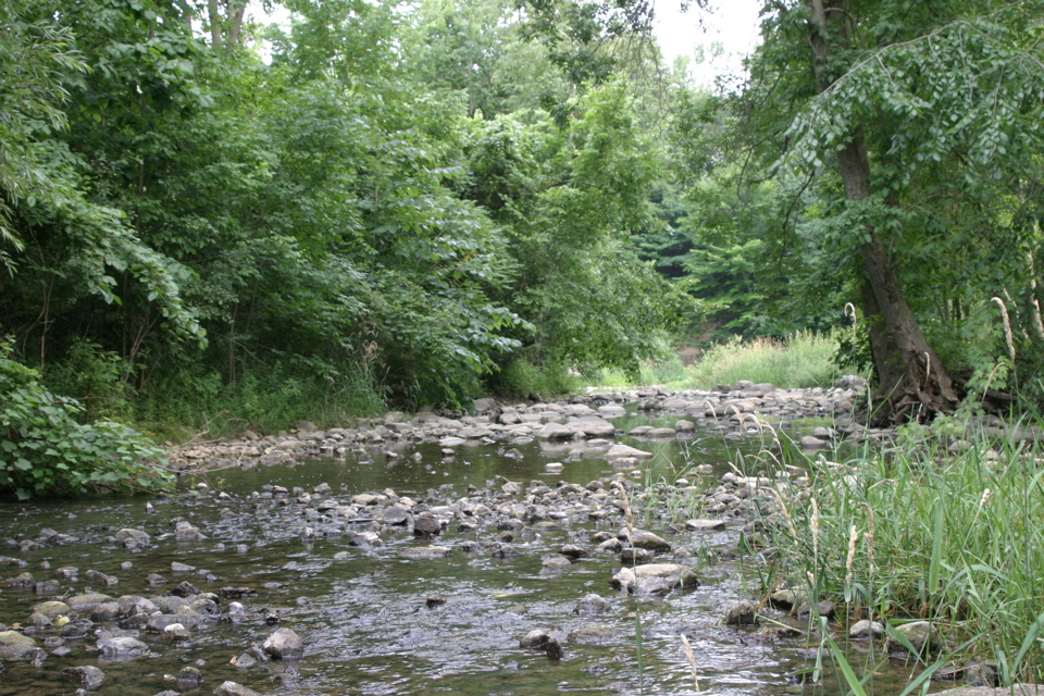 Rocky river