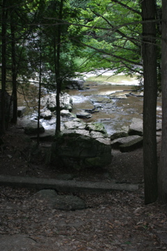 Woods, River